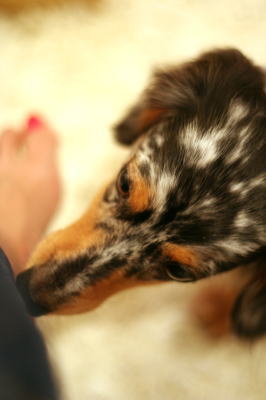060726_5.jpg