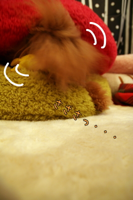 090209_05.jpg
