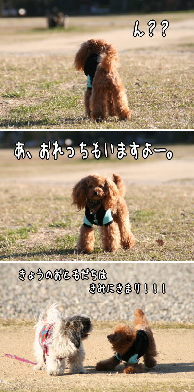 060213_4.jpg