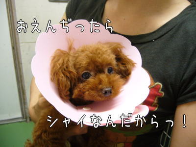 080708_4.jpg