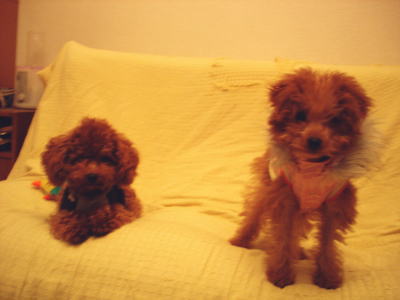 050226_1.jpg