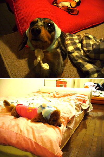 060124_3.jpg