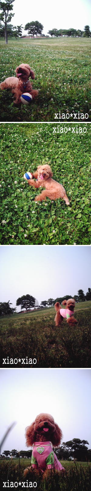 060612_5.jpg