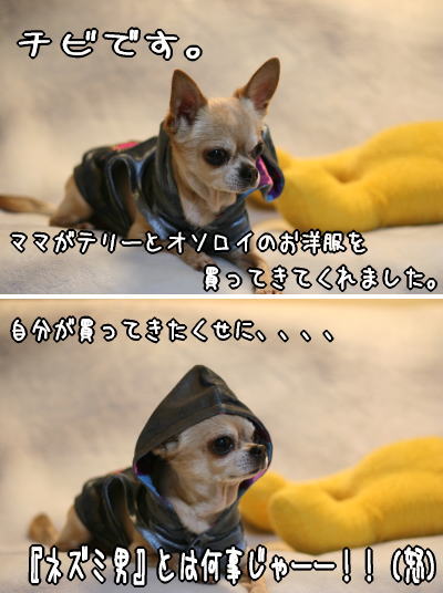 060110_4.jpg