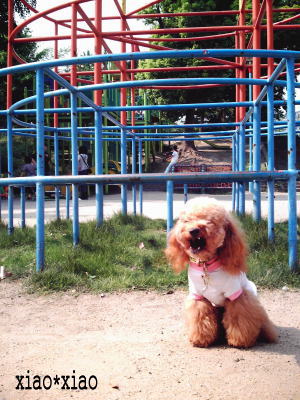 060603_2.jpg