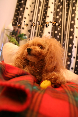 090126_07.jpg