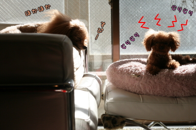 090115_03.jpg