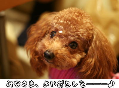 051229_5.jpg