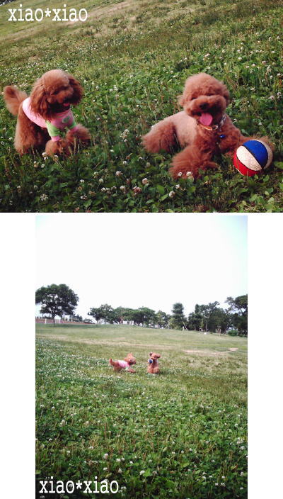 060612_3.jpg