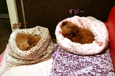 090219_02.jpg