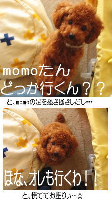050329_1.jpg