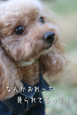 081030_4.jpg