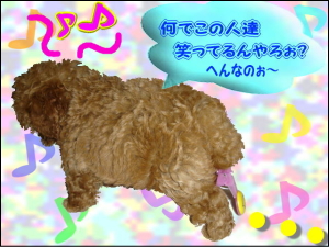 081024_7.jpg