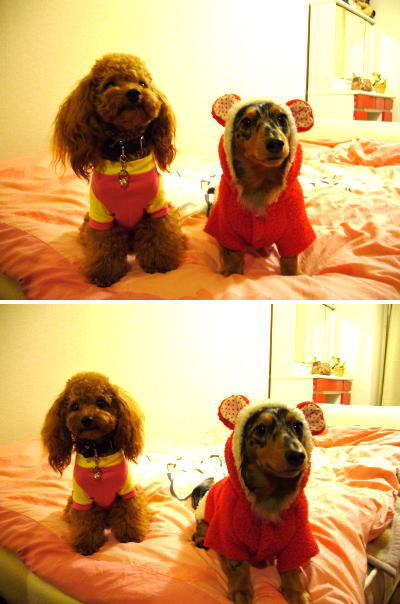 060124_4.jpg