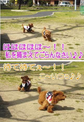 050329_3.jpg