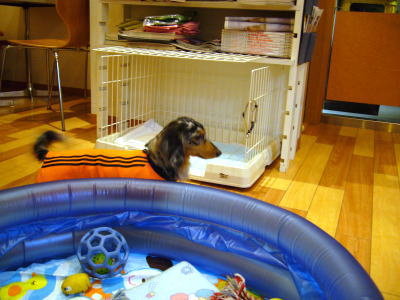 060124_1.jpg