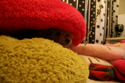 090209_03.jpg