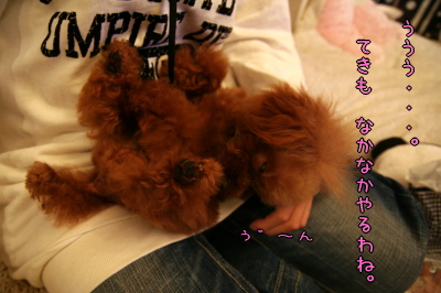090207_04.jpg