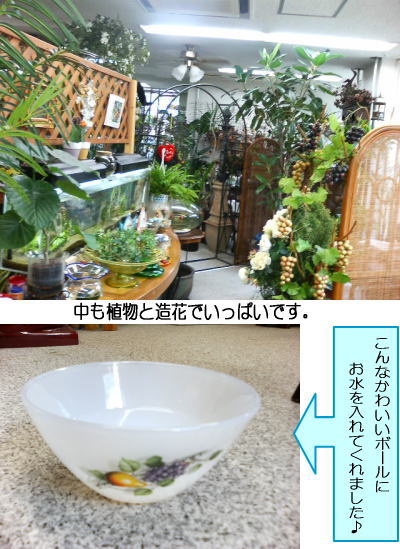050426_3.jpg
