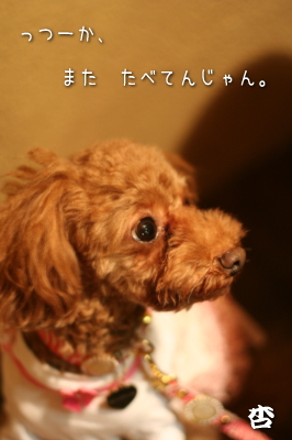 081104_9.jpg