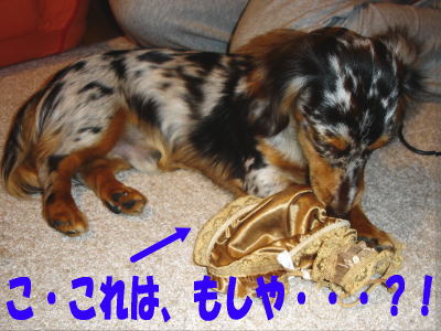 050220_2.jpg