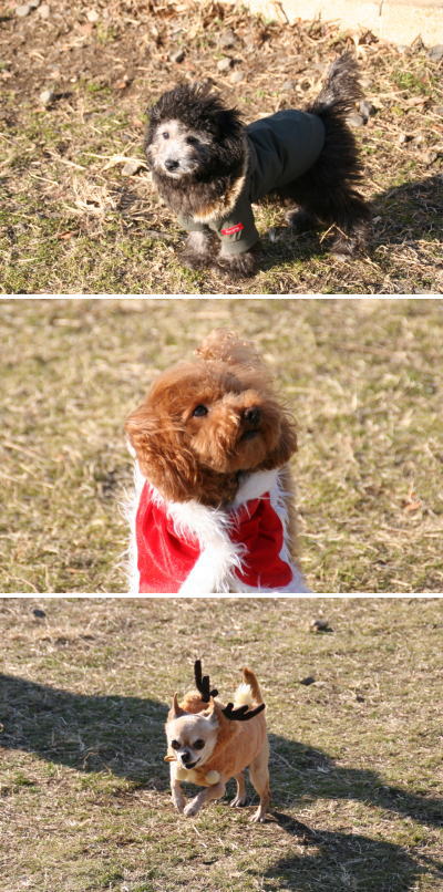 051225_4.jpg
