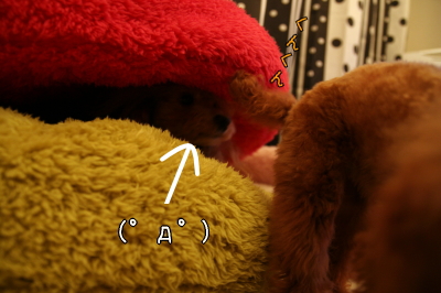 090209_02.jpg