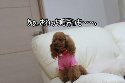 060330_6.jpg