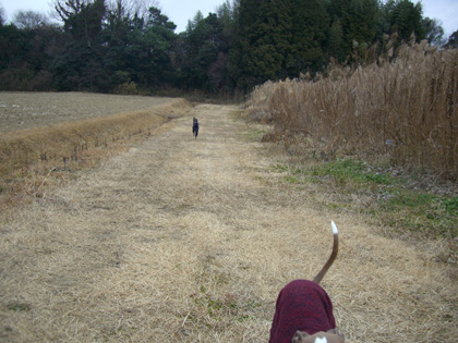 cimg5390.jpg