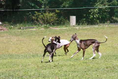 img_0120.jpg