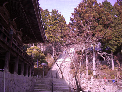 cimg5343.jpg