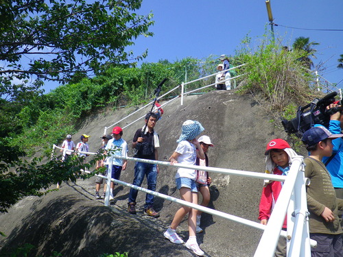IMGP3974
