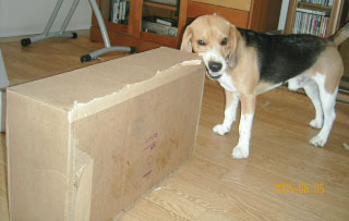 img20050605_3.jpg