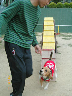 img20050531_2.jpg
