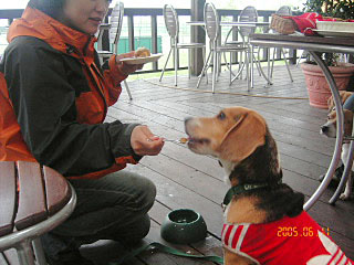 img20050614.jpg