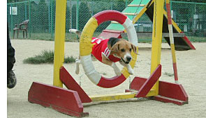 img20050531_1.jpg