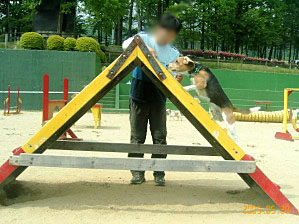 img20050531.jpg