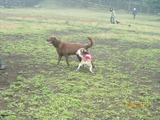 img20050612_2.jpg