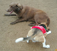 img20050612.jpg