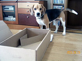 img20050605_2.jpg