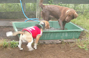 img20050612_1.jpg