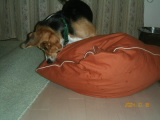 img20050603.jpg