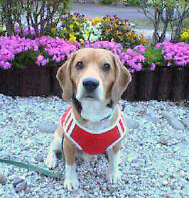 20050529_1835_0000.jpg