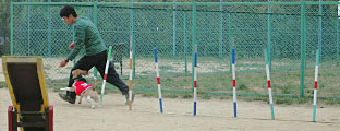 img20050531_4.jpg