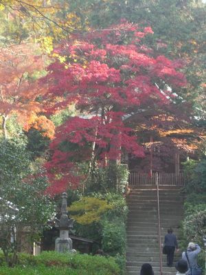 来迎院