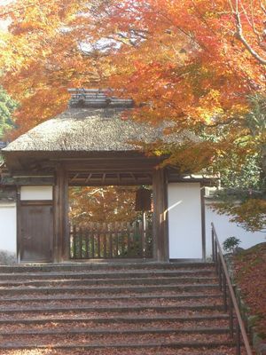 安楽寺