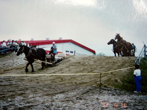 dsc04614a.jpg