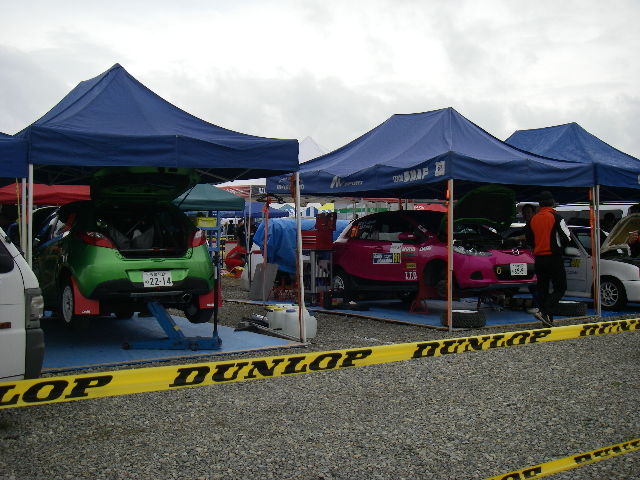 IMGP0208