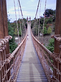 img20080828.jpg