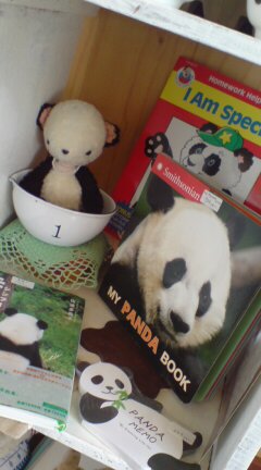 20090630154040.jpg